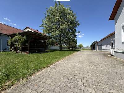 Haus mit Garten kaufen in 7474 Deutsch Schützen (Bild 4)