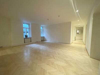 Gewerbeobjekt mieten in 1080 Wien (Bild 3)