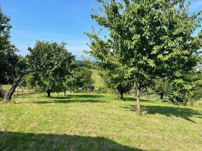 Grundstück kaufen in 7435 Unterkohlstätten (Bild 4)