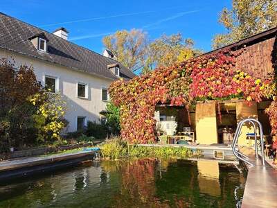 Haus mit Garten kaufen in 2512 Tribuswinkel (Bild 1)