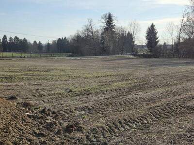 Grundstück kaufen in 8483 Deutsch Goritz (Bild 4)