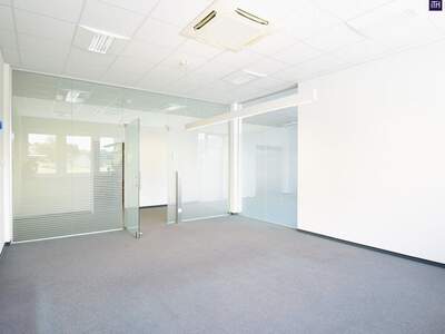 Gewerbeobjekt mieten in 8075 Hart (Bild 2)