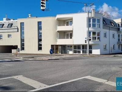 Wohnung mieten in 2482 Münchendorf
