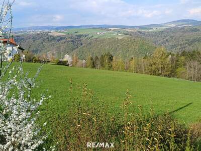 Grundstück kaufen in 4091 Vichtenstein