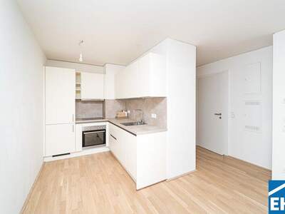 Terrassenwohnung kaufen in 1090 Wien (Bild 3)