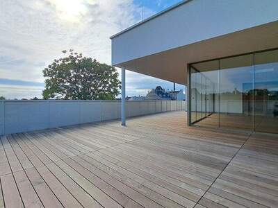 Terrassenwohnung kaufen in 7100 Neusiedl (Bild 5)