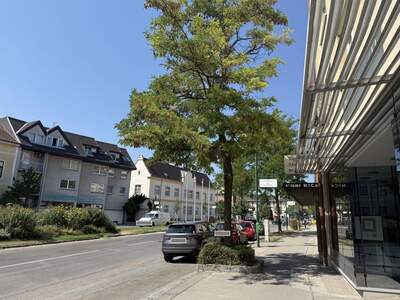 Altbauwohnung kaufen in 2340 Mödling (Bild 2)