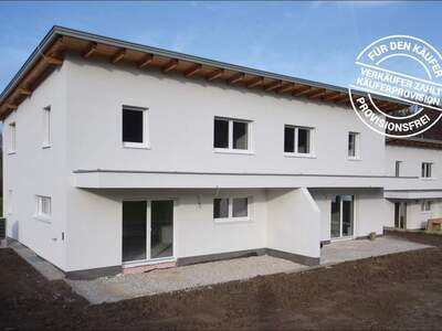 Haus kaufen in 3261 Steinakirchen