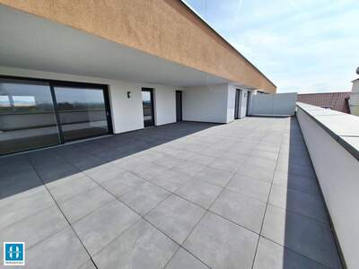 Wohnung kaufen in 4070 Pupping