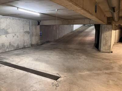 Halle / Lager / Produktion mieten in 1170 Wien (Bild 3)