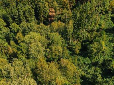 Gewerbeobjekt kaufen in 8200 Pircha