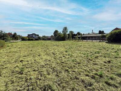 Grundstück kaufen in 5121 Ostermiething (Bild 3)