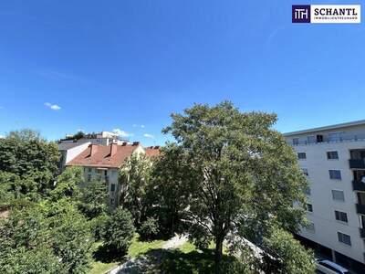 Terrassenwohnung mieten in 8020 Graz (Bild 1)