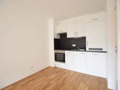 Wohnung mieten in 8055 Graz