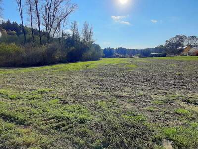 Grundstück kaufen in 8412 Allerheiligen (Bild 2)