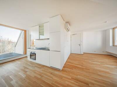 Anlageobjekt kaufen in 1170 Wien