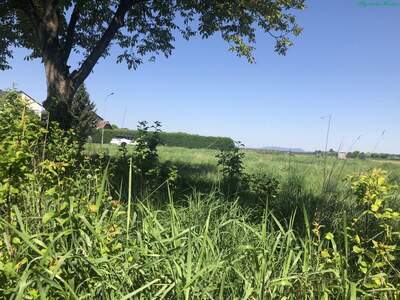 Grundstück kaufen in 8472 Obervogau (Bild 2)