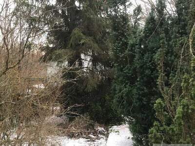 Haus kaufen in 1170 Wien