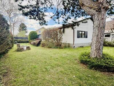 Haus kaufen in 3424 Wolfpassing