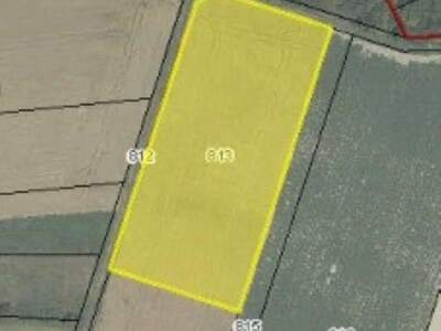 Gewerbeobjekt kaufen in 2105 Unterrohrbach