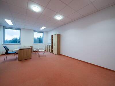 Büro / Praxis mieten in 4800 Attnang (Bild 4)