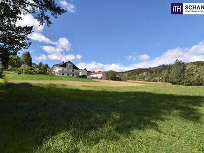 Grundstück kaufen in 8524 Bad Gams