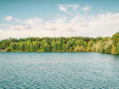 Grundstück kaufen in 8141 Premstätten (Bild 4)