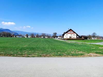 Haus mit Garten kaufen in 6812 Meiningen (Bild 2)