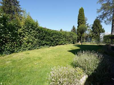 Haus mit Garten mieten in 1230 Wien (Bild 3)