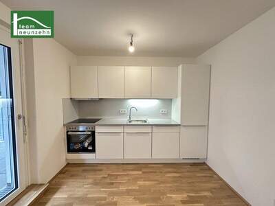 Terrassenwohnung mieten in 1160 Wien (Bild 1)