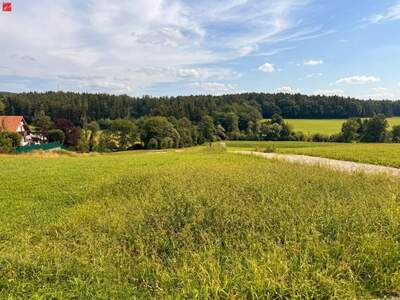 Grundstück kaufen in 8045 Graz