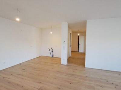 Terrassenwohnung kaufen in 7100 Neusiedl (Bild 4)