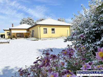 Haus kaufen in 4600 Wels