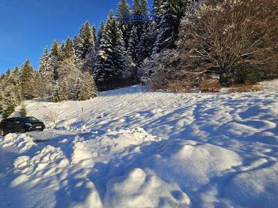Grundstück kaufen in 6311 Oberau (Bild 3)