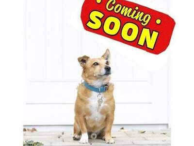 Wohnung mieten in 3100 St. Pölten