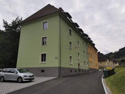 Anlageobjekt kaufen in 8664 Großveitsch