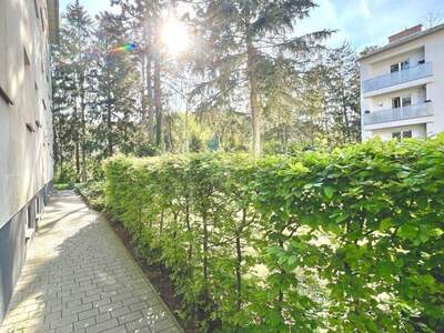 Wohnung mieten in 3002 Purkersdorf