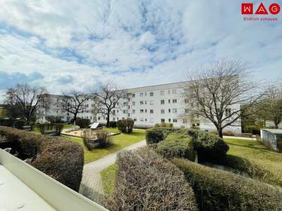 Terrassenwohnung mieten in 4020 Linz (Bild 2)