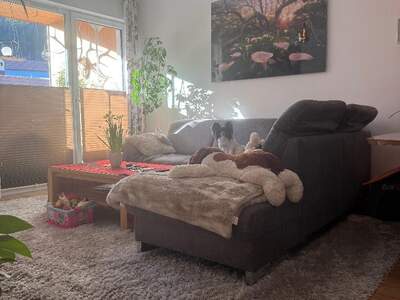 Wohnung kaufen in 6405 Pfaffenhofen (Bild 2)