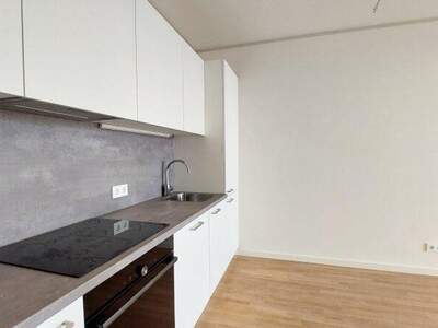 Terrassenwohnung mieten in 1220 Wien (Bild 2)