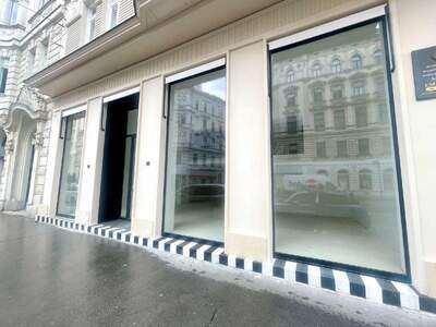 Gewerbeobjekt mieten in 1090 Wien (Bild 1)