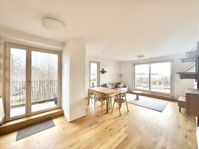 Terrassenwohnung mieten in 1190 Wien (Bild 5)