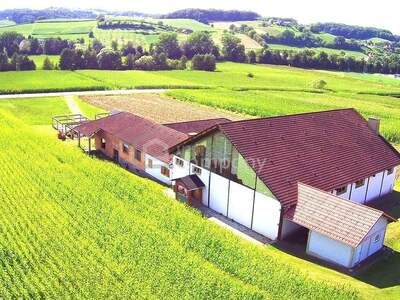 Haus mit Garten kaufen in 8342 Gnas (Bild 4)
