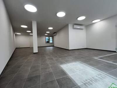 Gewerbeobjekt mieten in 1170 Wien (Bild 4)