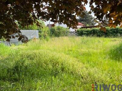 Grundstück kaufen in 2201 Kapellerfeld (Bild 4)