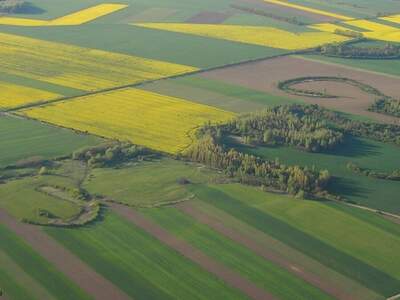 Gewerbeobjekt kaufen in 8272 Sebersdorf