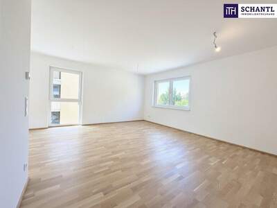 Terrassenwohnung kaufen in 8401 Kalsdorf (Bild 1)