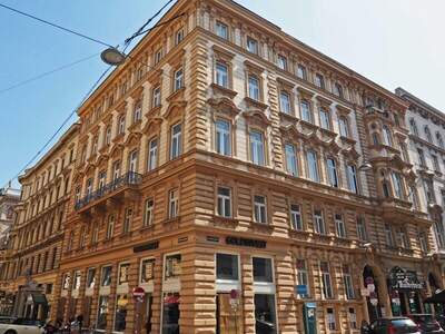 Gewerbeobjekt mieten in 1010 Wien (Bild 1)