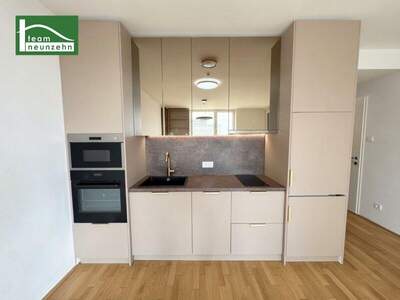 Terrassenwohnung mieten in 1220 Wien (Bild 3)