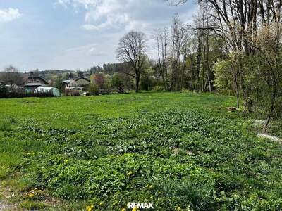 Grundstück kaufen in 7537 Neuberg